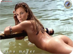 Fake : Dina Meyer