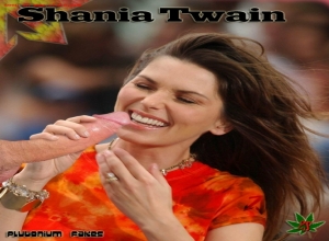 Fake : Shania Twain