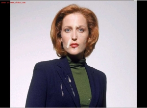 Fake : Gillian Anderson