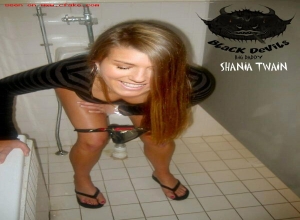 Fake : Shania Twain