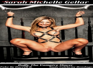 Fake : Sarah Michelle Gellar