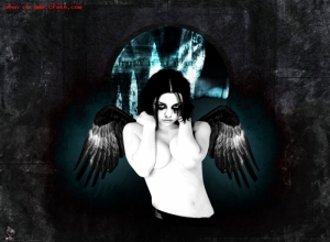 Fake : Amy Lee