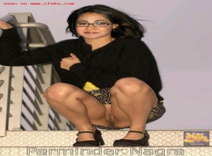 Fake : Parminder Nagra