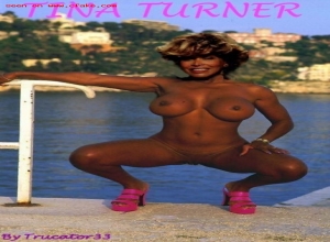 Fake : Tina Turner