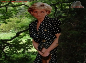 Fake : Lady Diana