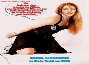 Fake : Sasha Alexander