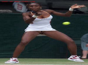 Fake : Venus Williams