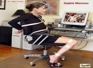 Fake : Sophie Marceau