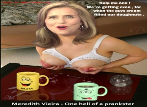 Fake : Meredith Vieira