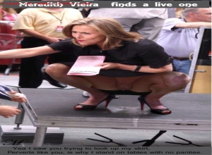 Fake : Meredith Vieira