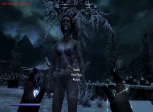 Fake : Skyrim