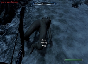 Fake : Skyrim