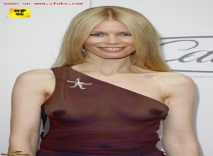 Fake : Claudia Schiffer