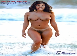 Fake : Raquel Welch