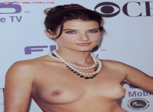 Fake : Cobie Smulders