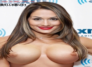 Fake : Nikki Bella