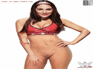 Fake : Brie Bella