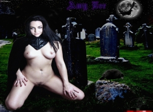 Fake : Amy Lee