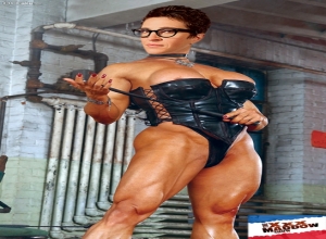 Fake : Rachel Maddow