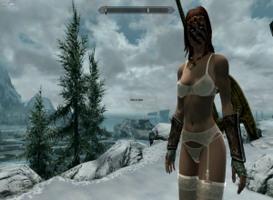 Fake : Skyrim